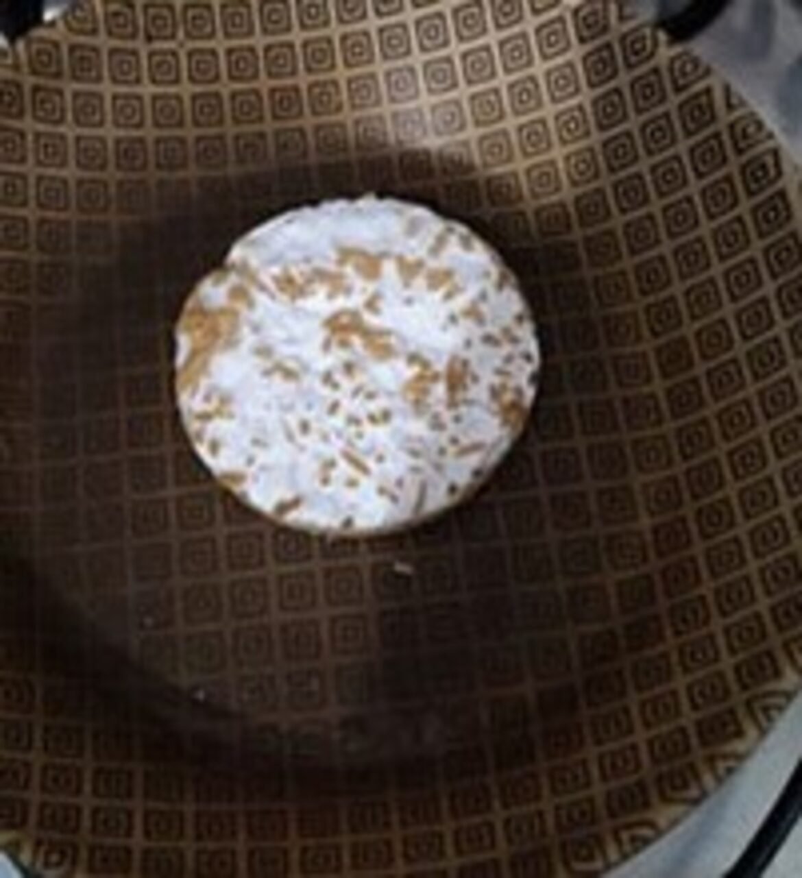 trocaria-carne-por-fungo?-pesquisa-mostra-que