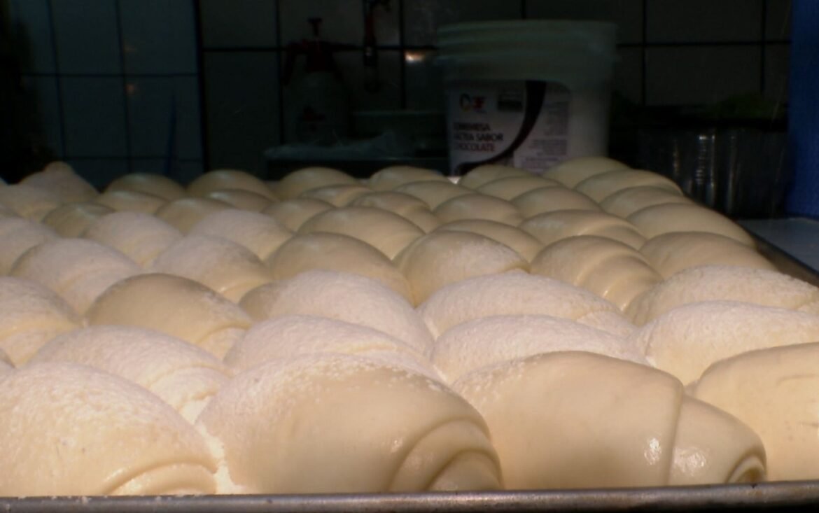 empregos-formais:-brasil-cria-213-mil-vagas-em-setembro