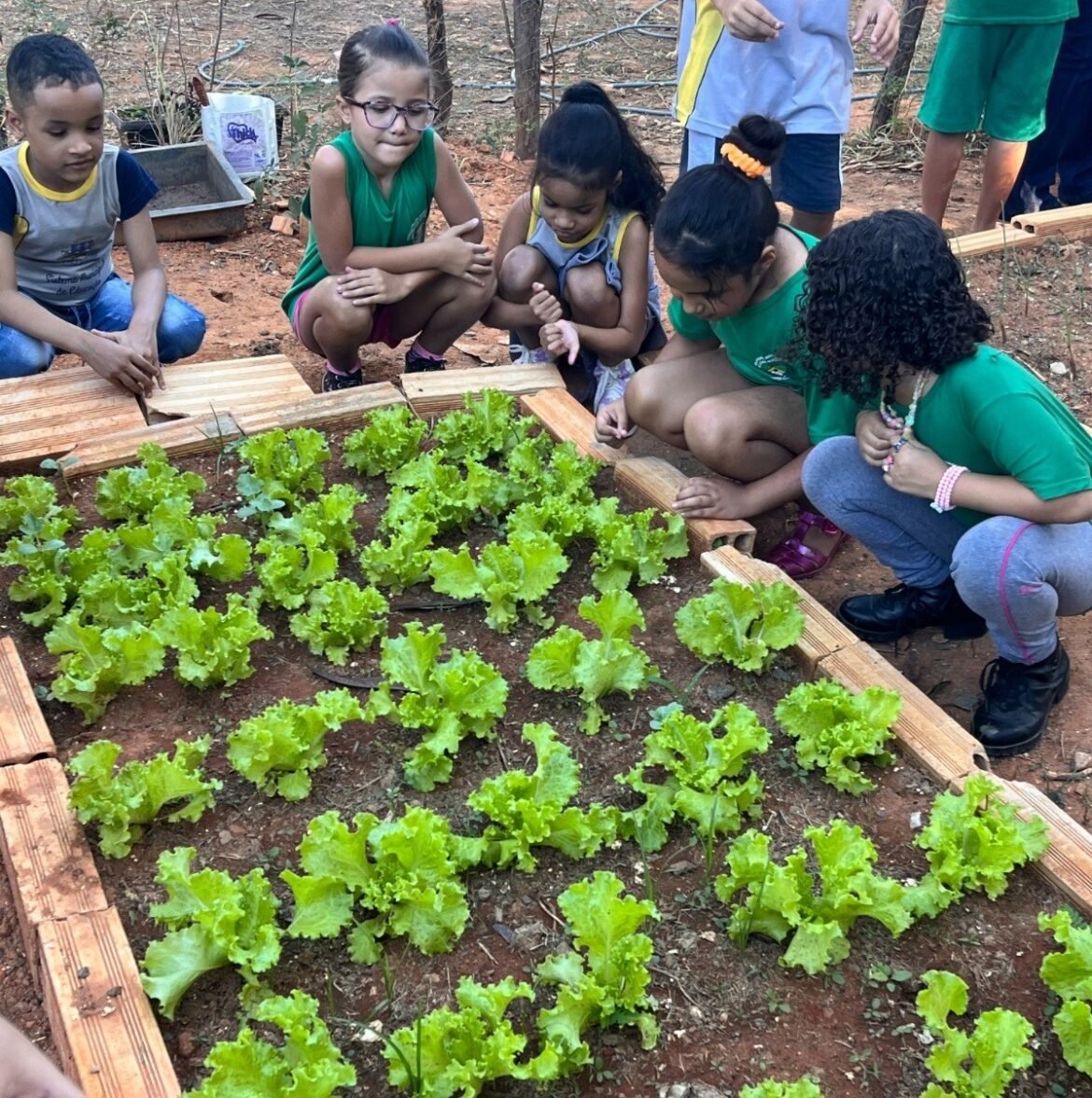 montes-claros-e-destaque-nacional-em-educacao-alimentar