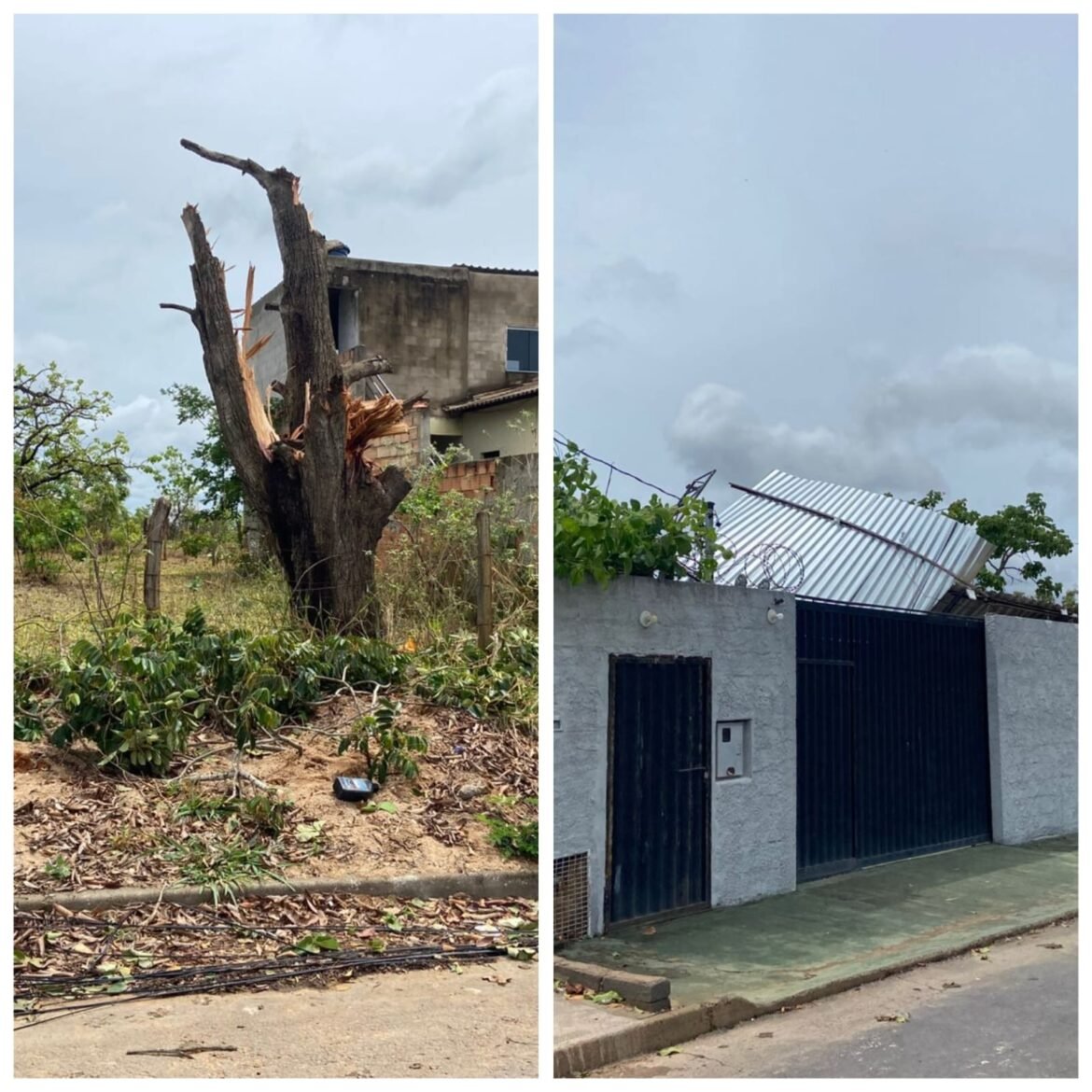 chuva-e-ventos-fortes-derrubam-arvore-e-danificam-casas-em-curvelo