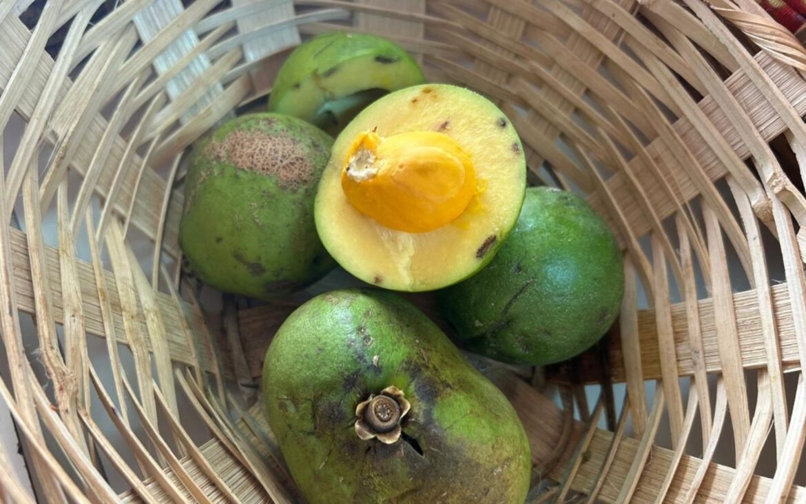 festa-nacional-do-pequi-comeca-nesta-sexta-feira-em-montes-claros;-veja-a-programacao