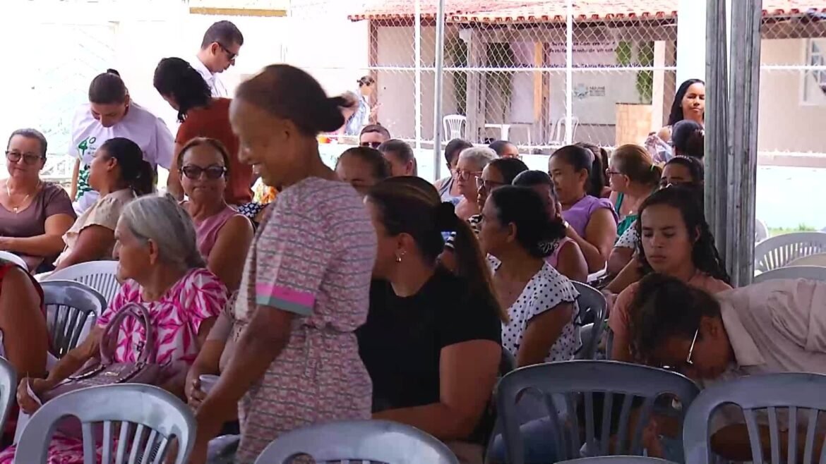 videos:-inter-tv-rural-deste-domingo,-9-de-novembro-de-2025