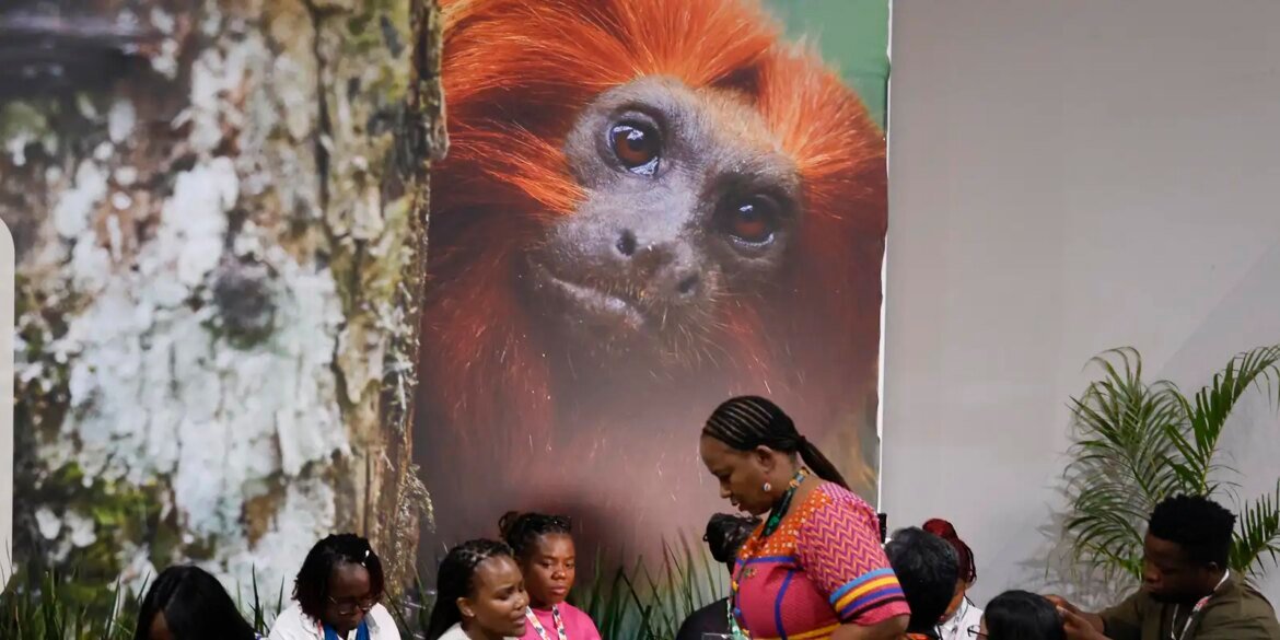 cop30:-financiamento,-transicao-e-adaptacao-sao-centro-das-negociacoes