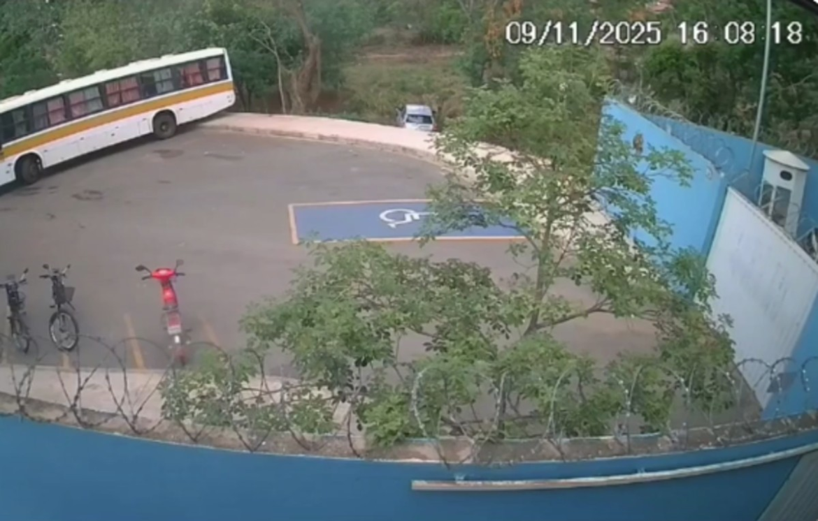 idosas-sao-atacadas-por-enxame-de-abelhas-apos-carro-cair-em-declive-e-atingir-tronco-de-arvore-em-mg;-video