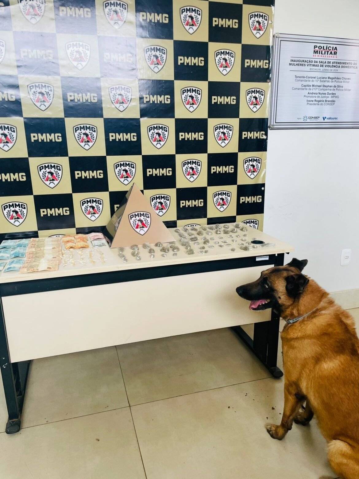 dois-irmaos-sao-presos-por-trafico-durante-cumprimento-de-mandado-em-francisco-dumont