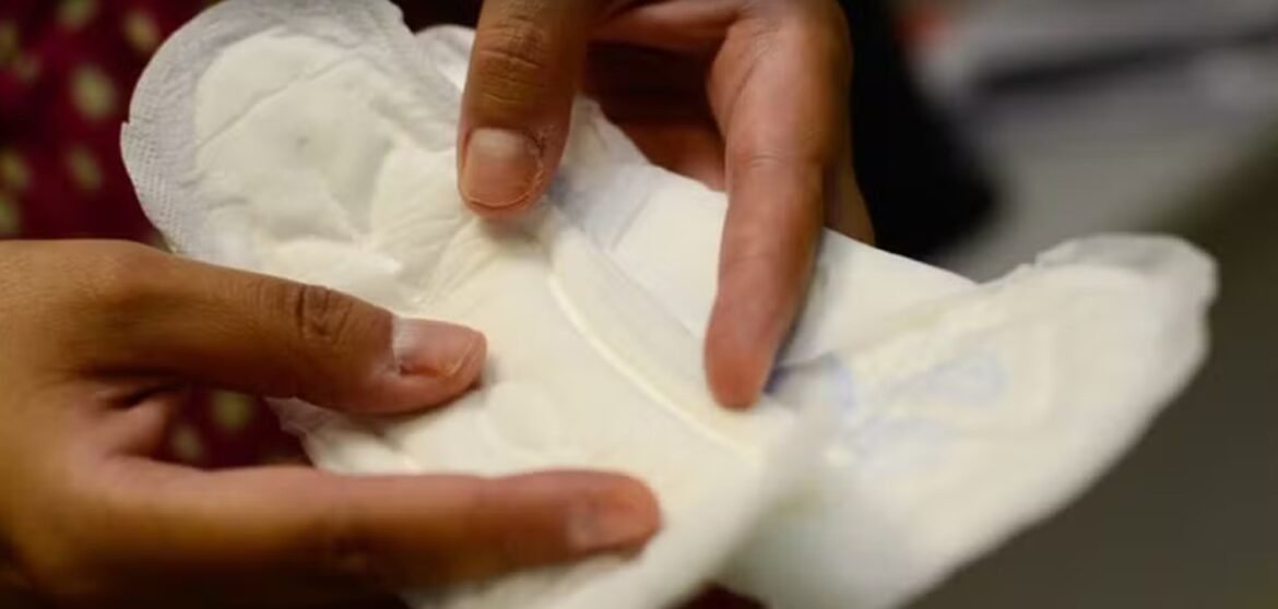 e-#fato:-governo-envia-whatsapp-a-quem-tem-direito-a-receber-absorvente-gratuito;-veja-como-funciona