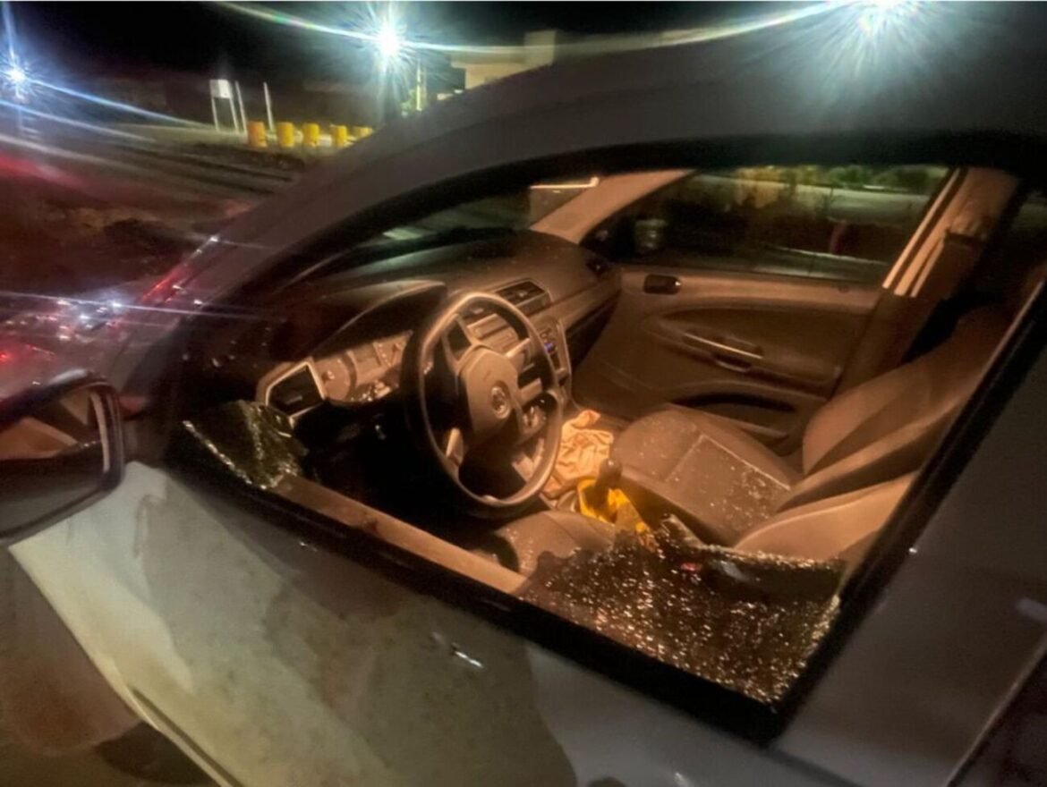 apreensao-de-passaros,-padre-agredido-com-facao-e-acidentes:-veja-as-mais-lidas-da-semana