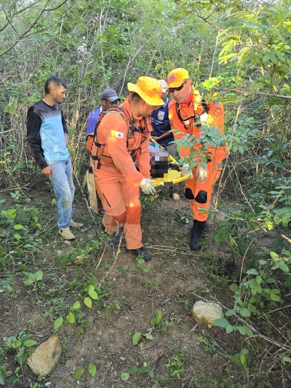 cao-farejador-ajuda-bombeiros-a-localizar-homem-desaparecido-em-mata-fechada-no-norte-de-mg