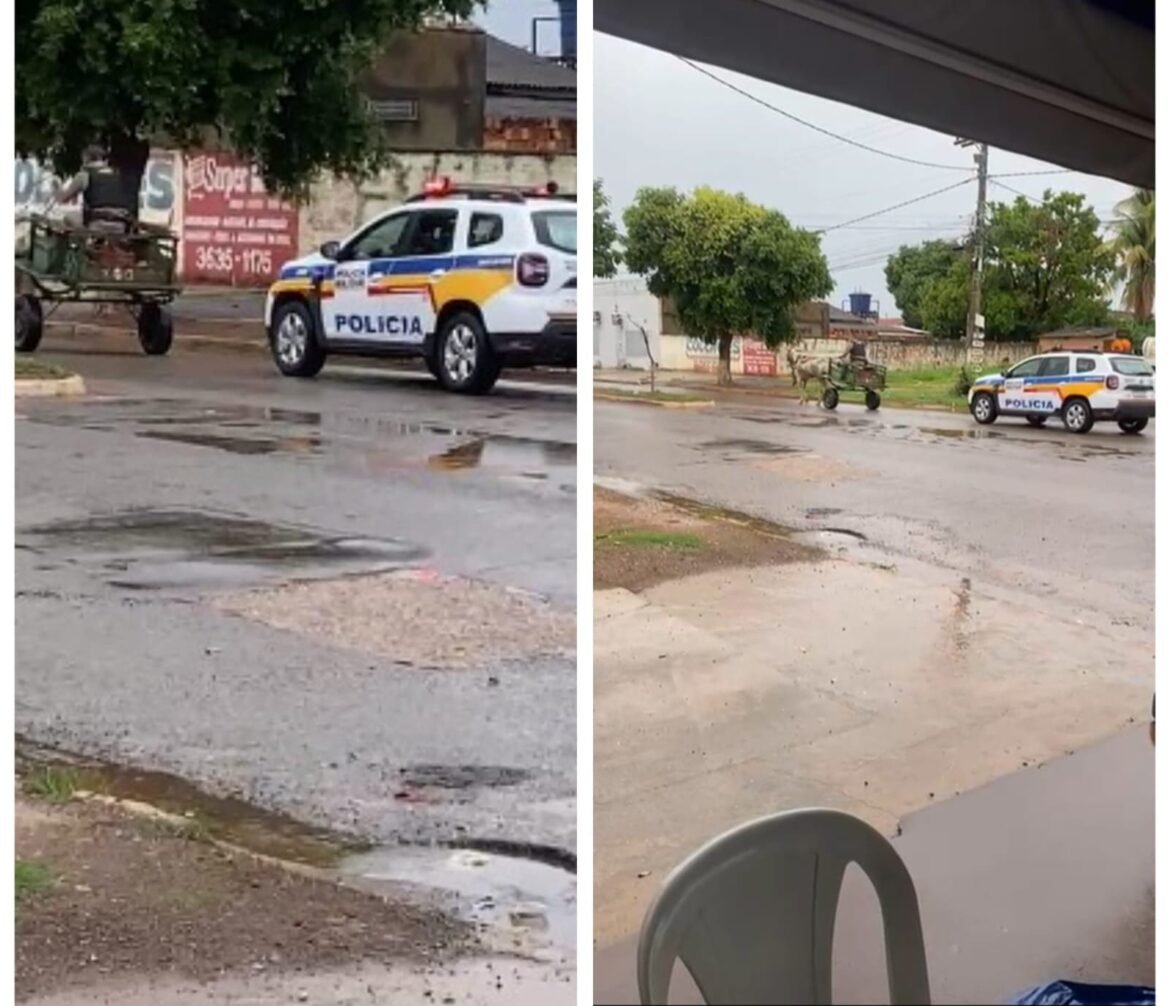policial-assume-conducao-de-carroca-apos-prender-dono-em-mg-e-cena-viraliza;-video