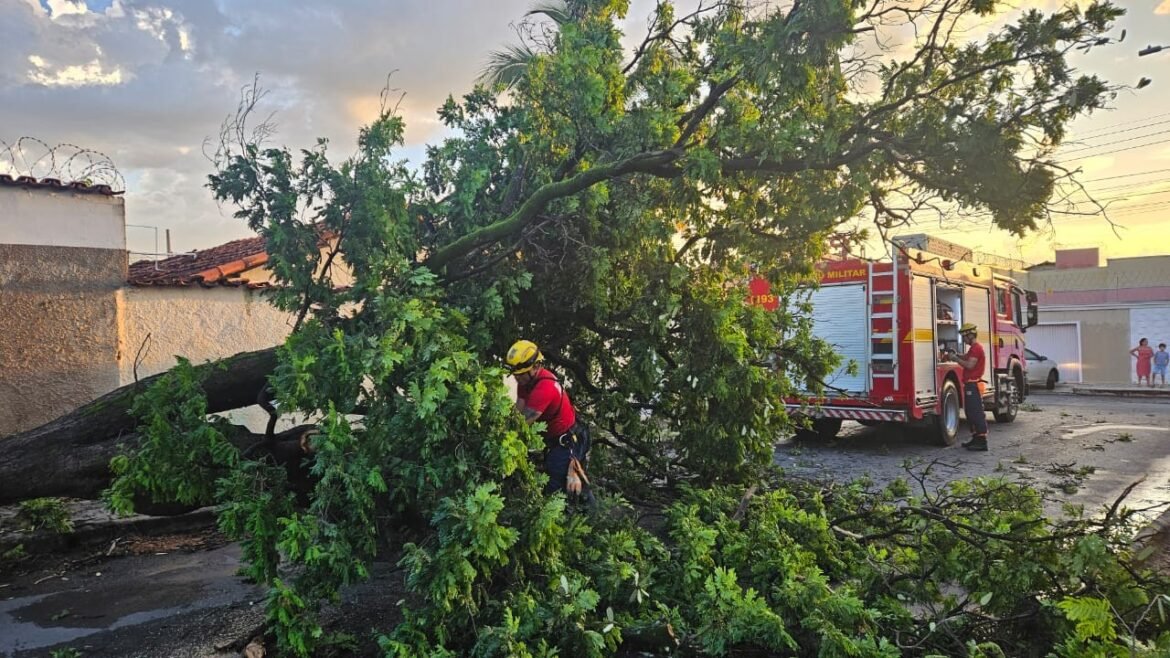 ventania-derruba-arvores-e-causa-transtornos-em-bairros-de-montes-claros