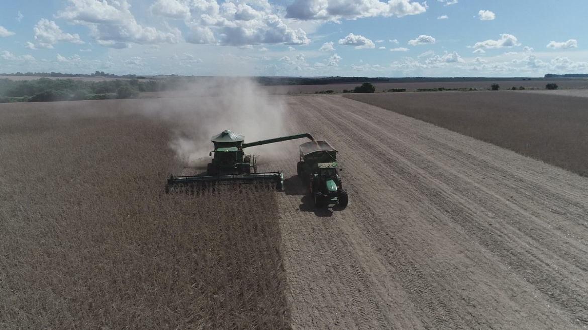 exportadoras-de-graos-deixam-a-moratoria-da-soja-|-g1