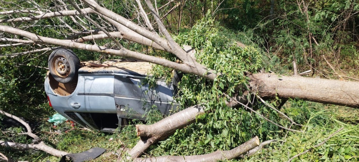 cinco-pessoas-sao-levadas-ao-hospital-apos-carro-bater-em-arvore-no-vale-do-jequitinhonha