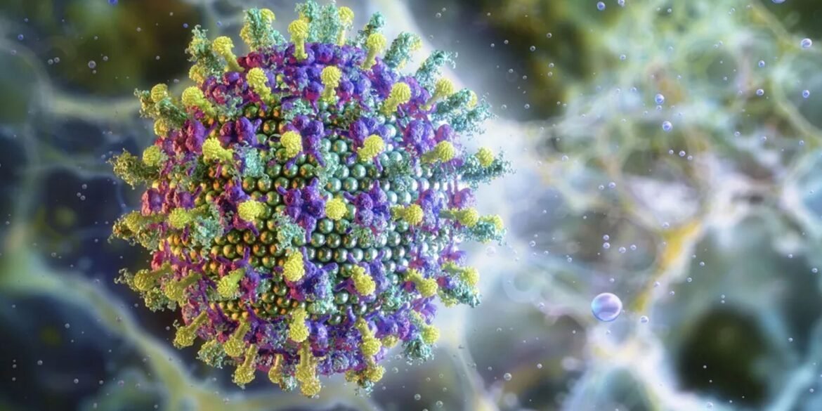 ministerio-da-saude-diz-que-virus-nipah-nao-ameaca-o-brasil
