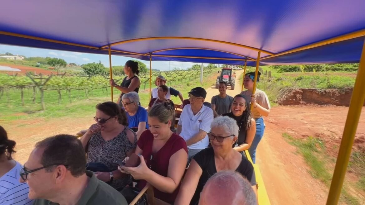 turismo-rural-encanta-quem-e-da-cidade-e-gera-renda-no-campo-|-g1