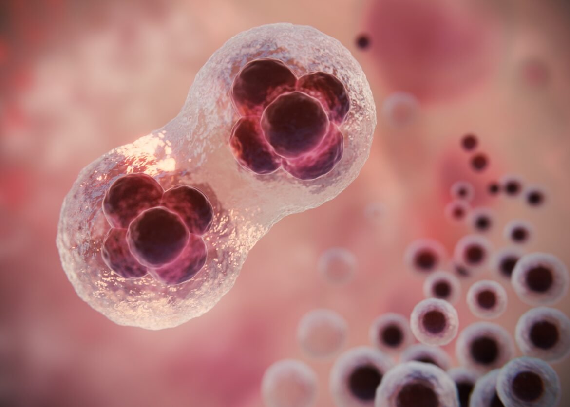 sobrevida-ao-cancer-chega-a-70%-nos-eua,-e-ate-tipos-mais-letais-tem-ganhos-historicos