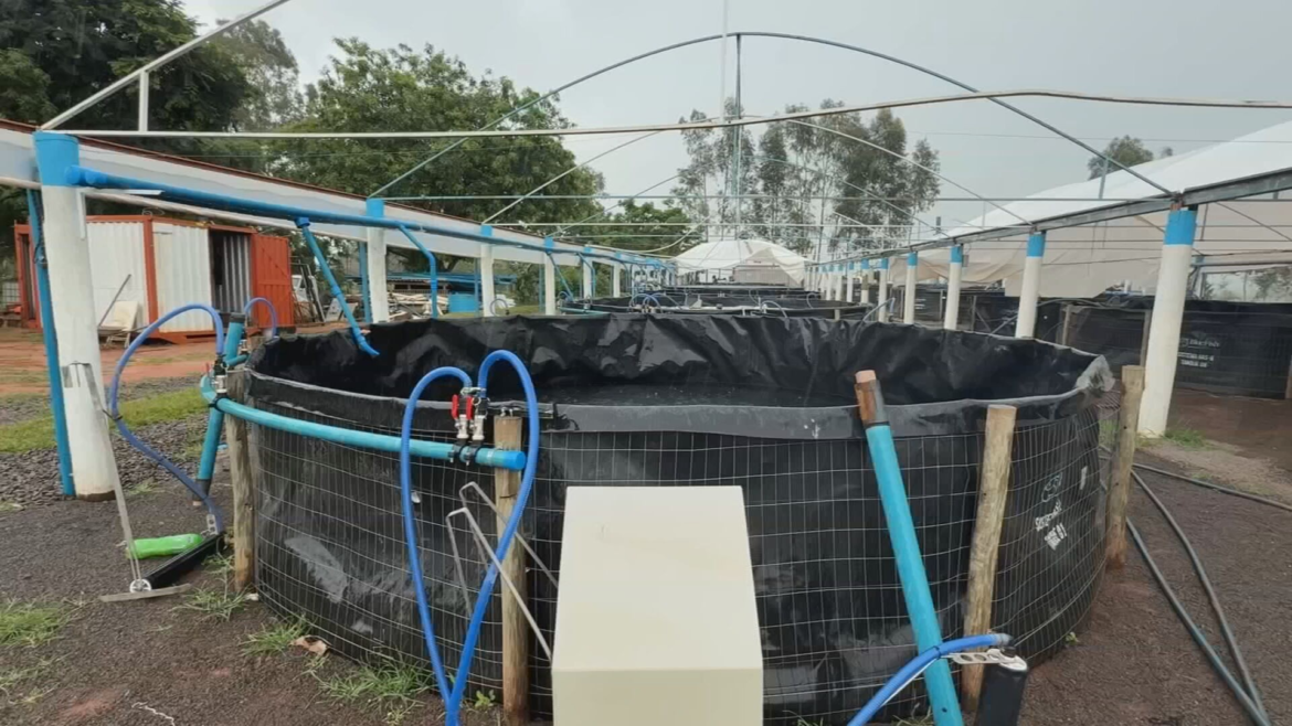 excesso-de-chuva-pode-causar-prejuizos-na-piscicultura-|-g1