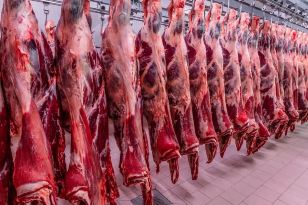brasil-discute-cotas-por-empresa-para-exportacao-de-carne-bovina-a-china,-para-evitar-uma
