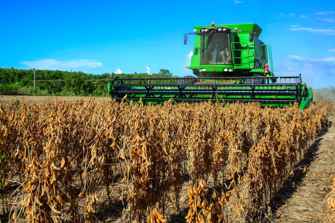 no-ano-do-tarifaco-de-trump,-pedidos-de-falencia-de-agricultores-crescem-quase-50%-em-2025-nos-eua-|-g1