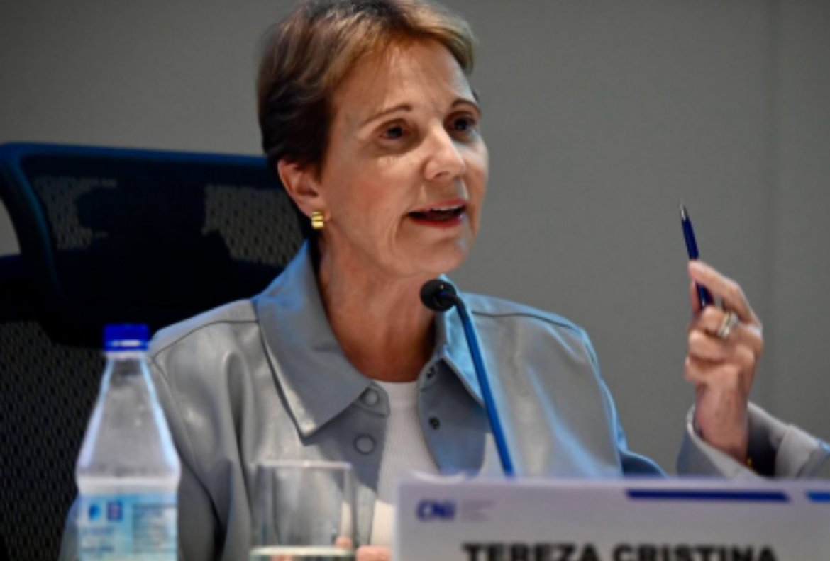 tereza-cristina-diz-ser-‘muito-cedo’-para-discutir-vaga-de-vice-de-flavio-bolsonaro