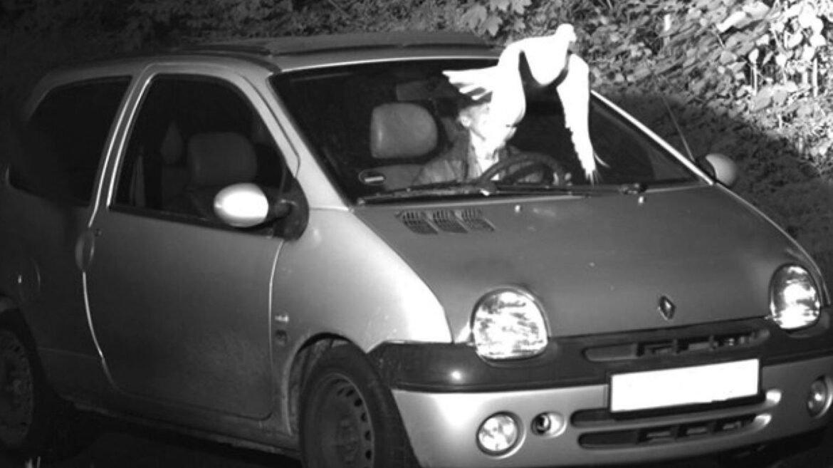 pombo-livra-motorista-de-ser-multado-por-excesso-de-velocidade-na-alemanha