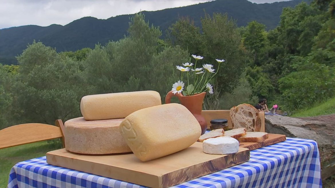 queijarias-artesanais-oferecem-qualidade-e-sabores-variados-|-g1