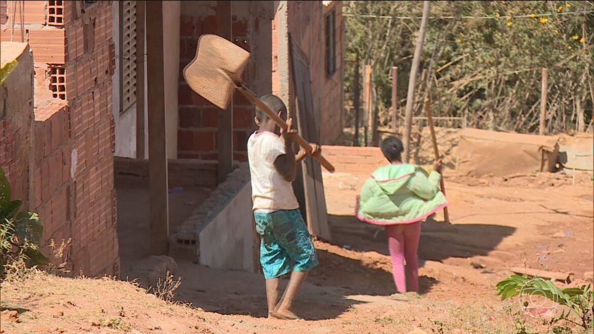 1,6-milhao-de-criancas-no-trabalho-infantil;-fiscalizacao-alcanca-0,2%-|-g1