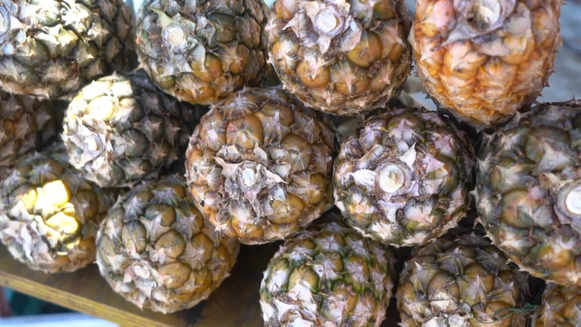 e-#fake-que-‘agua-de-abacaxi-quente’-cura-cancer;-mensagem-falsa-voltou-a-circular