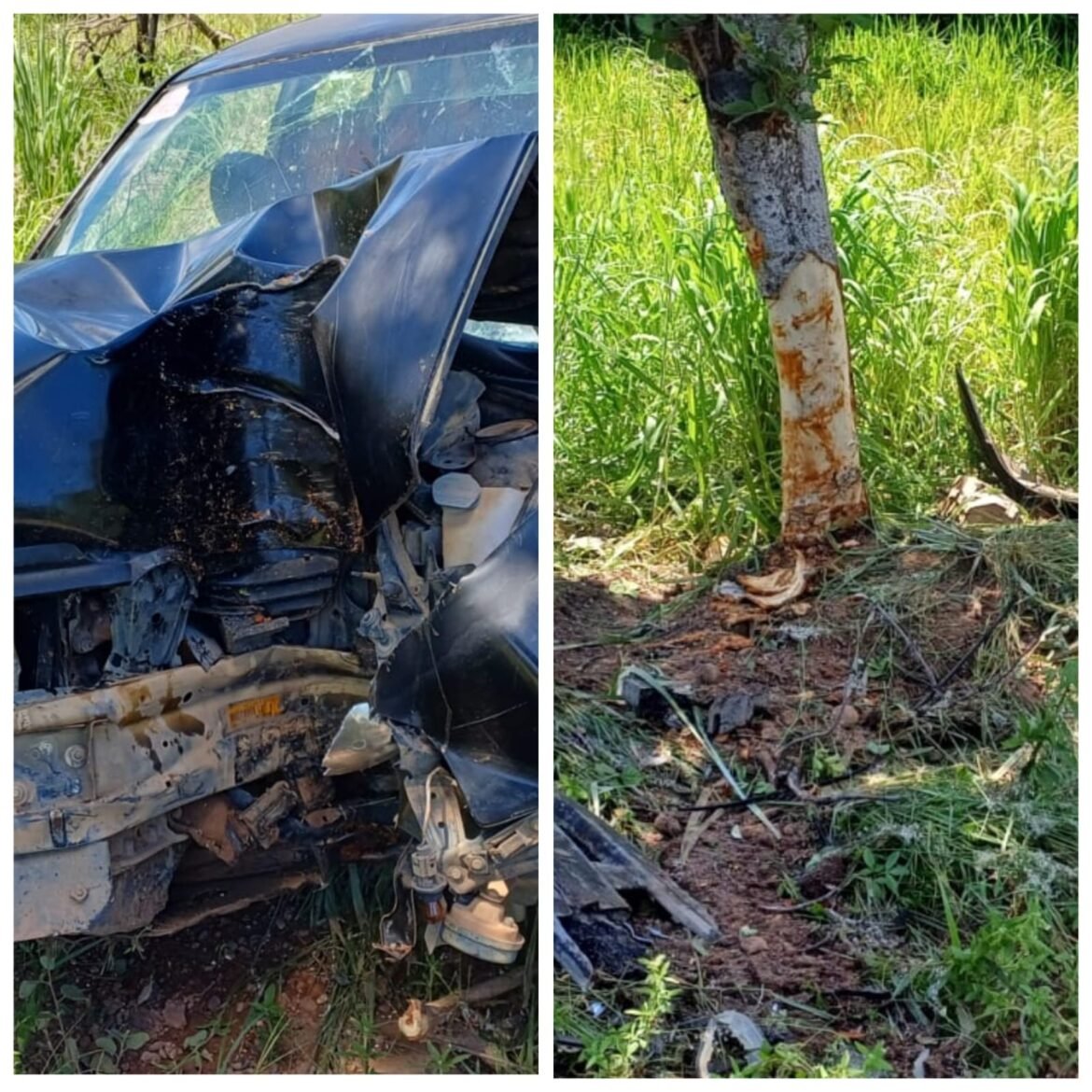 cinco-pessoas-ficam-feridas-apos-motorista-ser-‘fechado’-por-carreta-durante-ultrapassagem-e-carro-atingir-arvore