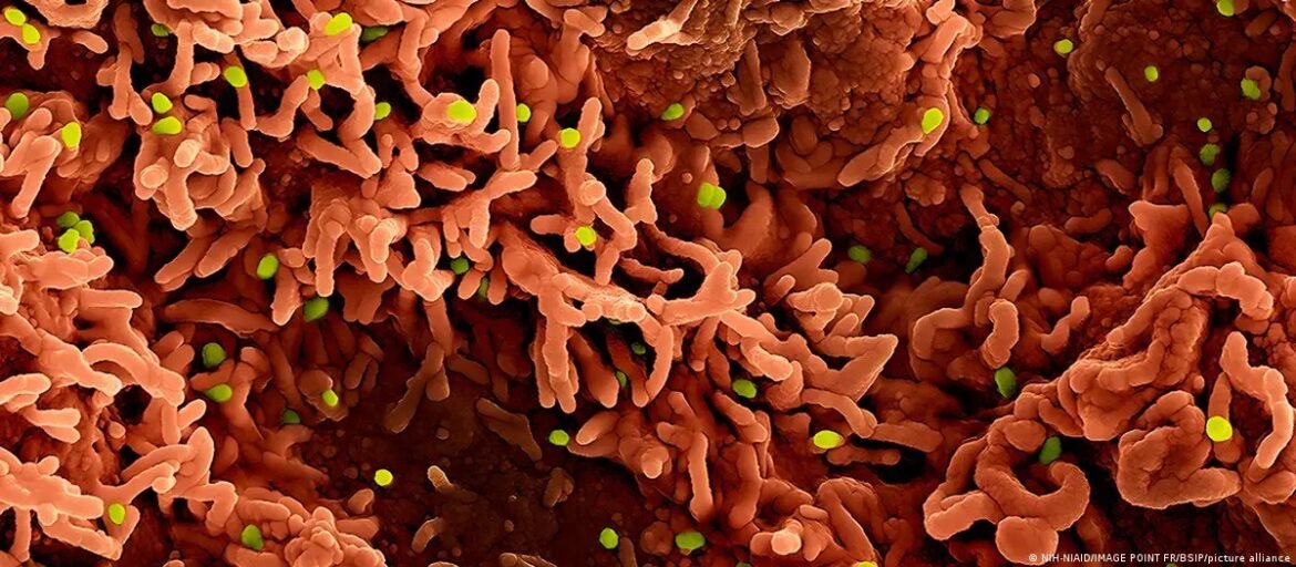 os-tres-virus-que-podem-desencadear-novas-crises-em-2026