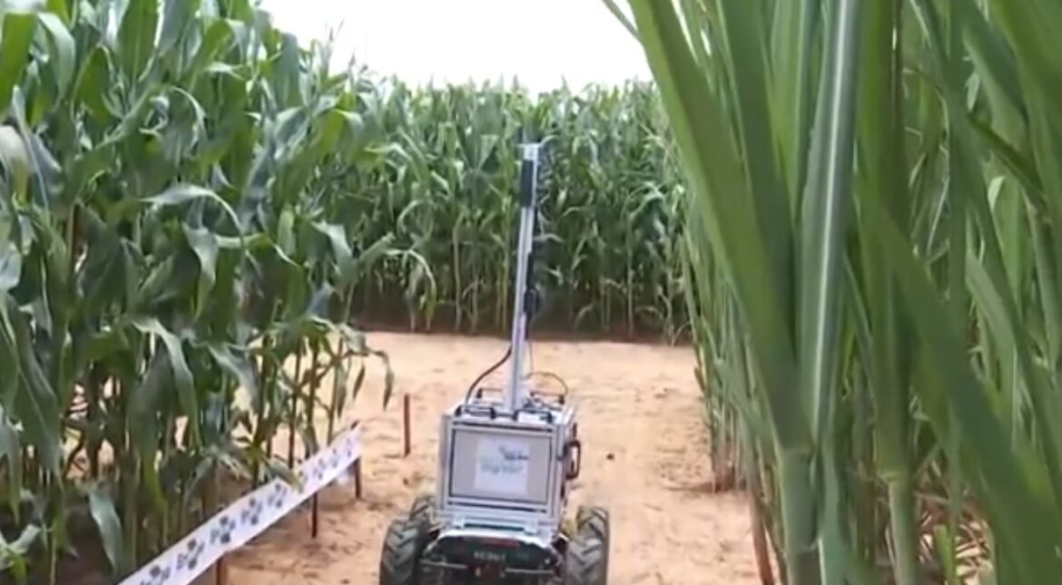 coplacampo:-protetor-solar-para-frutas-e-robo-com-ia-em-piracicaba-|-g1