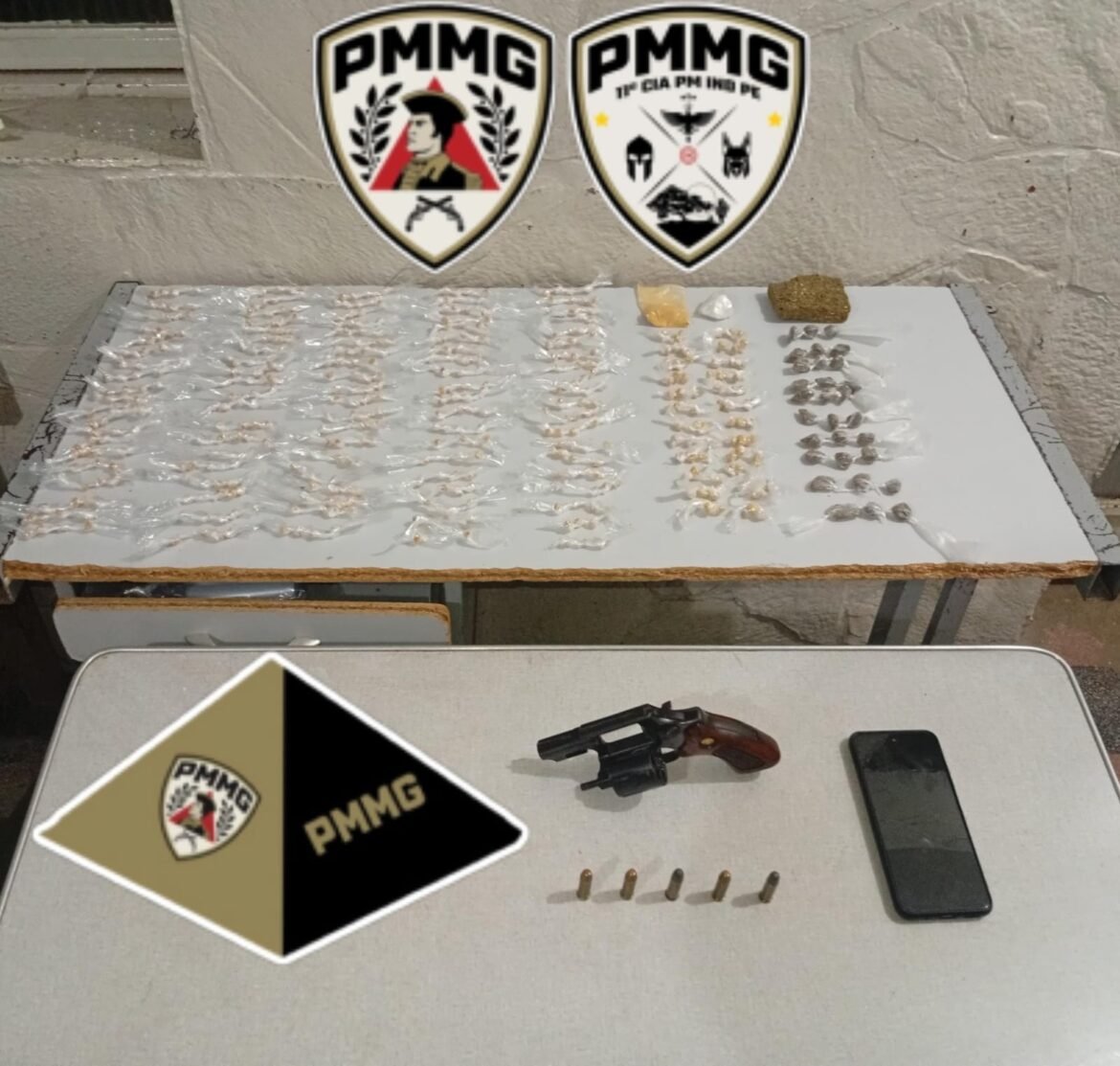 com-ajuda-de-cao-farejador,-pm-encontra-arma-e-drogas-em-lixeira-de-casa-em-montes-claros;-video