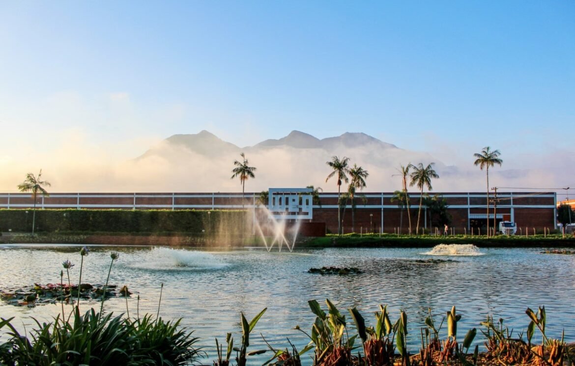 ‘fabrica-de-bilionarios’-investe-em-industria-de-baterias;-entenda-|-g1