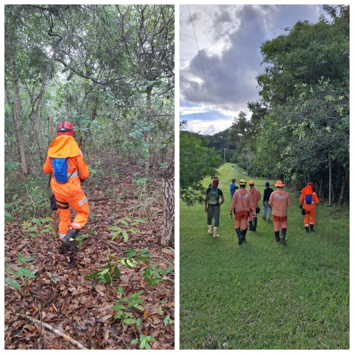 com-apoio-de-caes-farejadores,-bombeiros-fazem-buscas-por-homem-desaparecido-em-area-de-mata-no-noroeste-de-minas