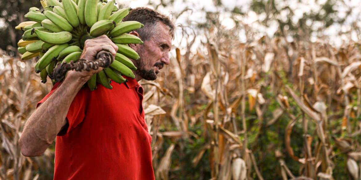 camara-aprova-uso-de-recursos-do-fgo-em-operacoes-do-pronaf