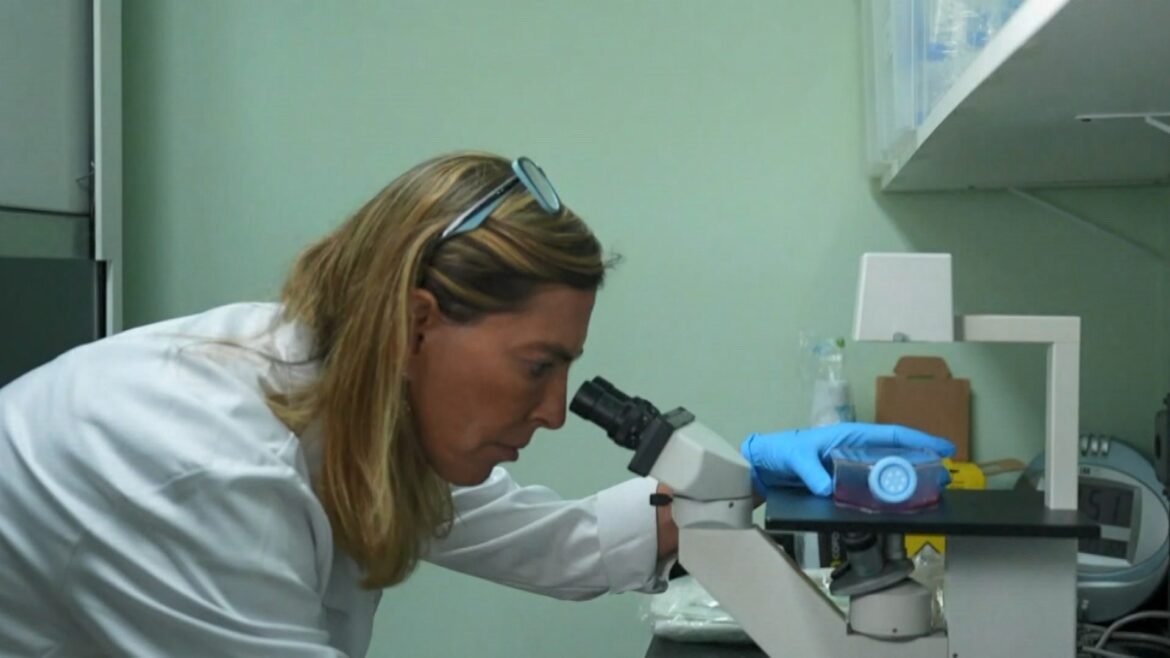 uso-de-polilaminina-e-acompanhado-em-tempo-real-pela-sociedade:-‘como-se-fosse-um-big-brother’,-diz-pesquisadora