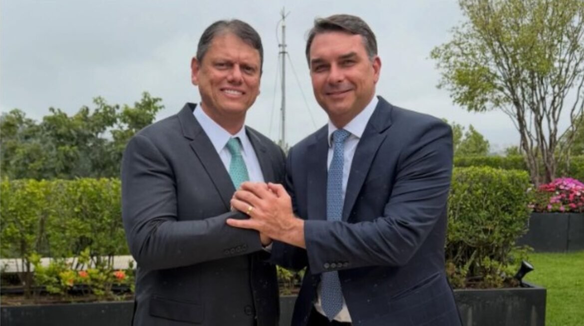 tarcisio-e-flavio-se-encontram-para-discutir-eleicao,-no-1o-encontro-em-sp-apos-o-filho-de-bolsonaro-se-lancar-a-presidencia