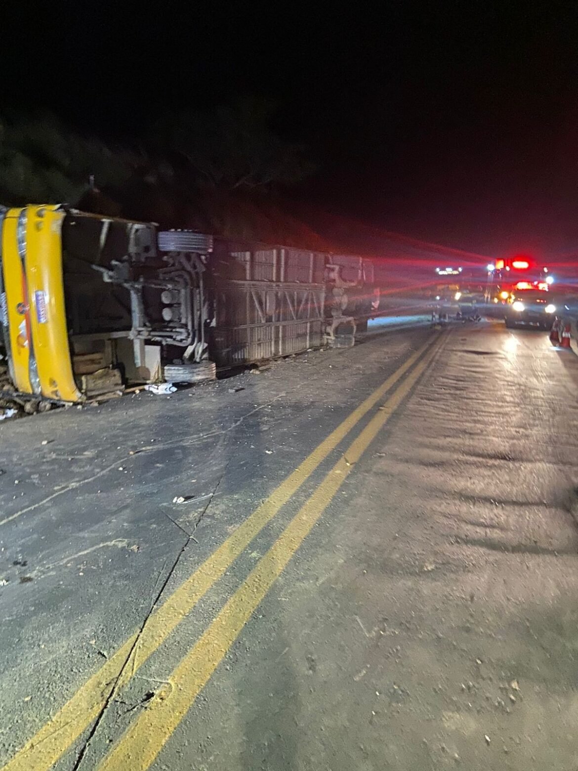 ministerio-publico-denuncia-motorista-de-onibus-clandestino-por-homicidio-qualificado-apos-acidente-com-5-mortos-na-br-251