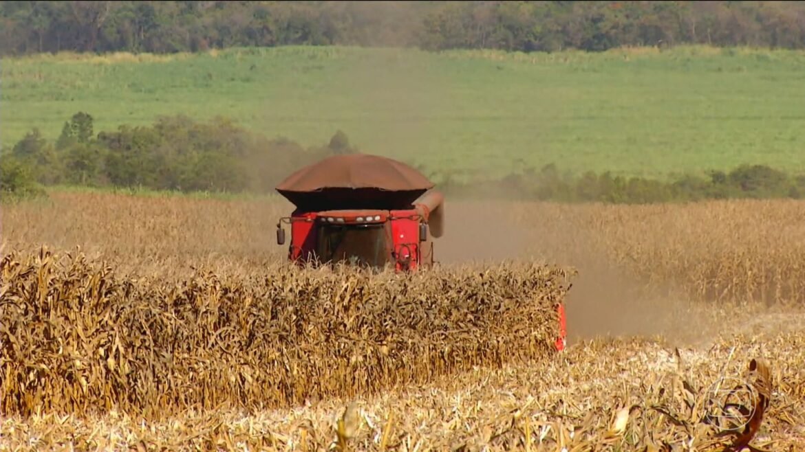 pib-do-brasil-cresce-2,3%-em-2025,-diz-ibge-|-g1