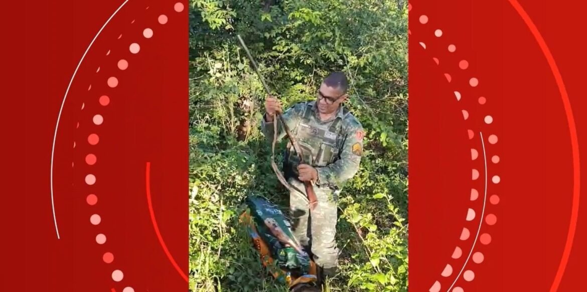 pms-prendem-suspeito-de-caca-ilegal-ao-encontrarem-pelos-de-cachorro-em-caixa-acoplada-em-moto