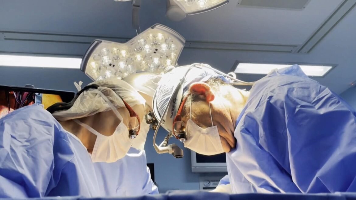 substituicao-de-valvulas-do-coracao:-primeira-cirurgia-de-ross-no-brasil-foi-feita-ha-mais-de-30-anos,-em-curitiba;-entenda-como-funciona-procedimento