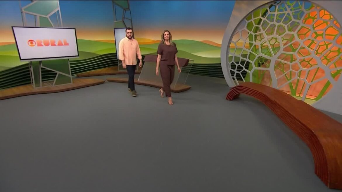 do-mato-grosso-para-o-mundo:-a-nova-rota-da-soja-e-os-desafios-do-transporte-no-arco-norte-|-g1