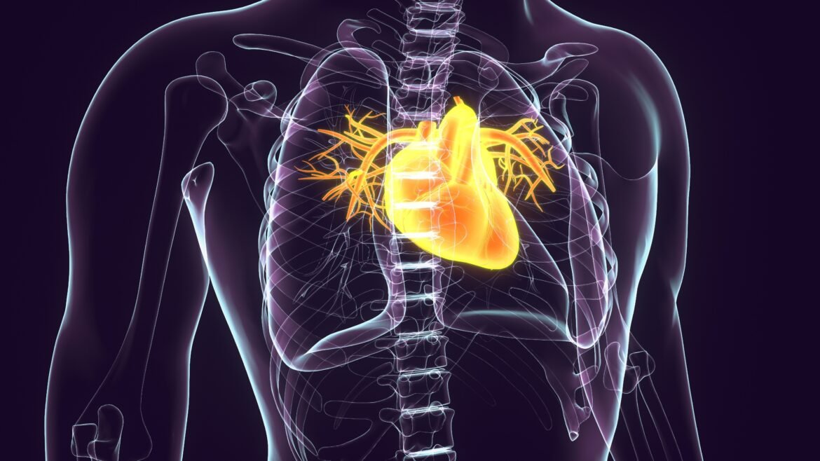 cancer-de-coracao-existe:-tumor-raro-pode-ser-confundido-com-falta-de-ar-e-exige-cirurgia-de-altissimo-risco
