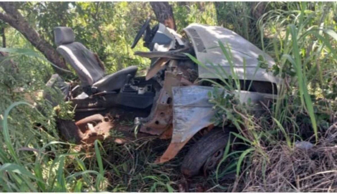 motorista-escapa-com-vida-apos-carro-bater-em-arvore-e-ficar-destruido-em-mg;-imagens-impressionam