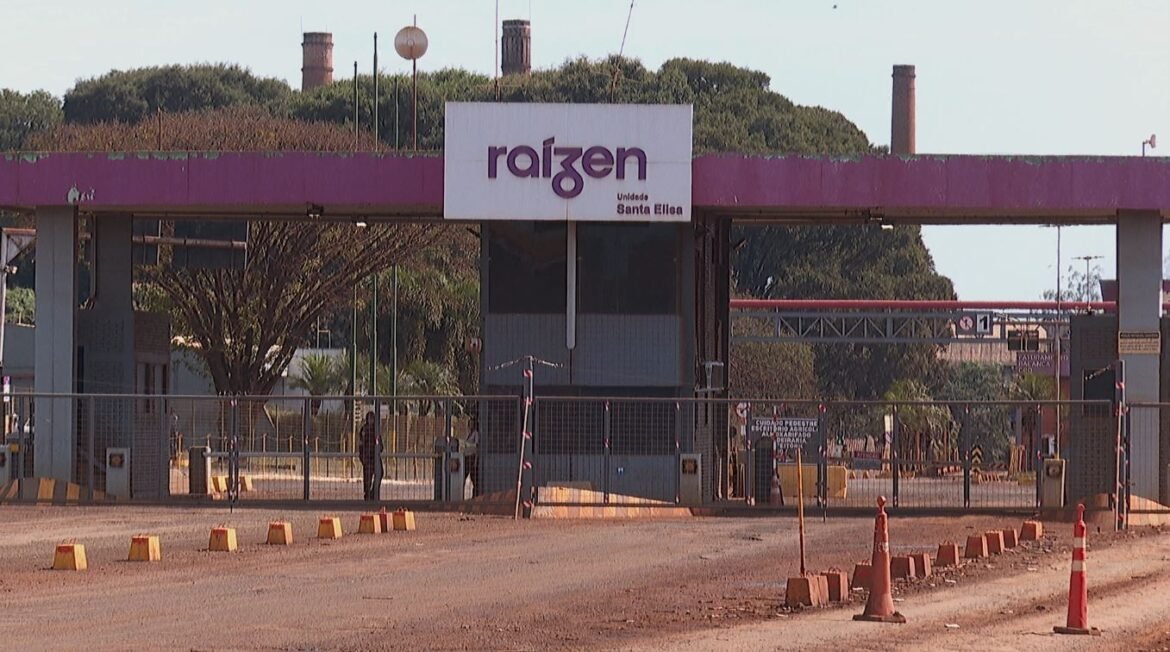 expansao,-divida-alta-e-resultados-em-queda:-entenda-a-crise-da-raizen-|-g1