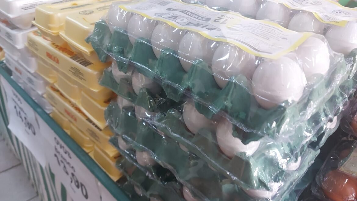 preco-dos-ovos-sobe-e-exportacoes-batem-recorde-de-13-anos,-diz-usp-|-g1