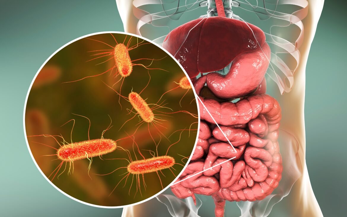 bacterias-do-intestino-influenciam-eficacia-do-tratamento-imunologico-no-cancer,-apontam-estudos