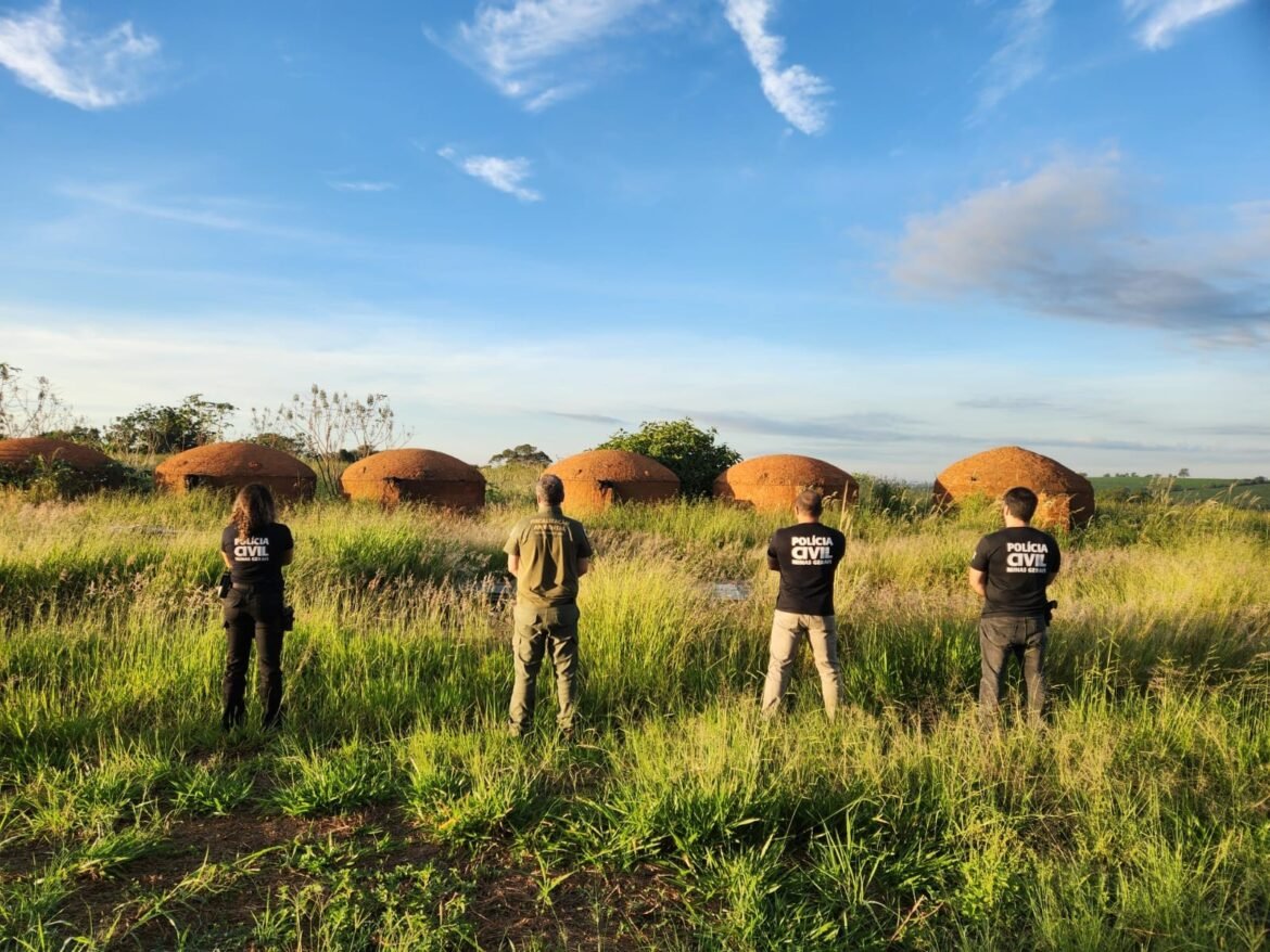 operacao-combate-esquema-de-lavagem-de-dinheiro-no-setor-de-carvao-vegetal-em-10-cidades-da-regiao