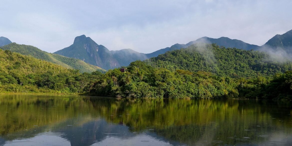 qualidade-dos-rios-da-mata-atlantica-continua-precaria,-aponta-estudo
