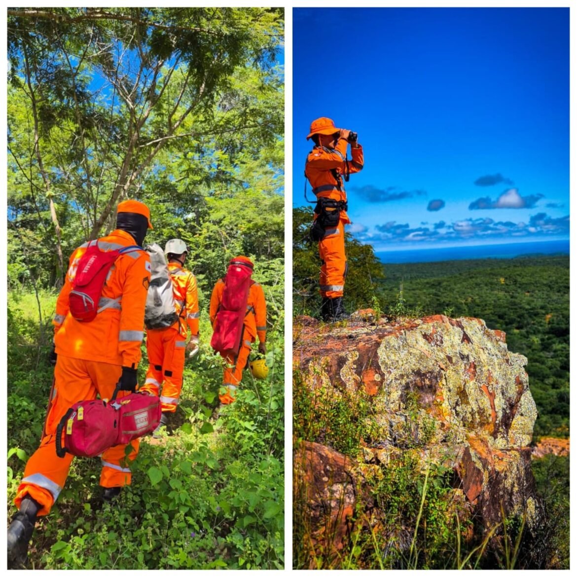 idoso-desaparecido-ha-9-dias-e-encontrado-morto-em-area-de-mata-na-zona-rural-de-pedras-de-maria-da-cruz