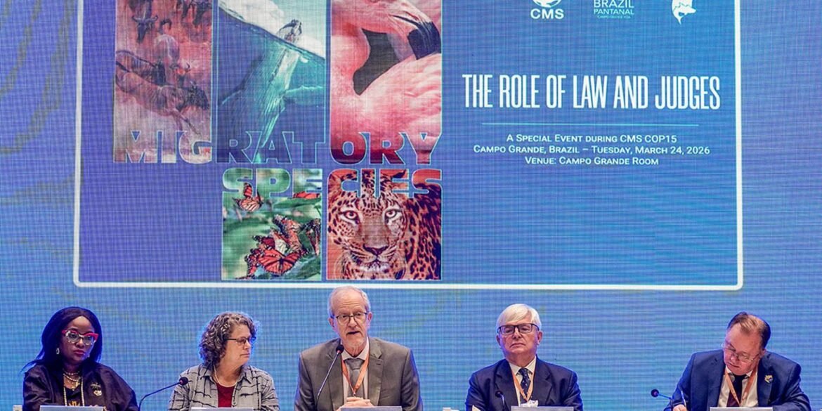 bonito-vai-sediar-a-primeira-vara-ambiental-com-foco-no-pantanal